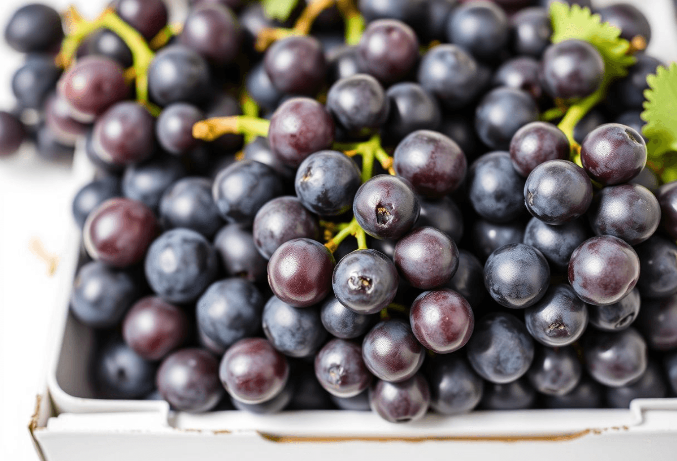 Jumbo Black Grapes